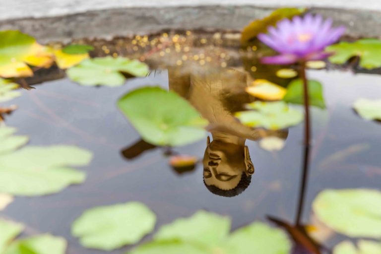 buddha-reflection-in-the-pond-2021-08-31-09-01-16-utc